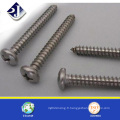 Fournisseur Phillips Self Tapping Screw